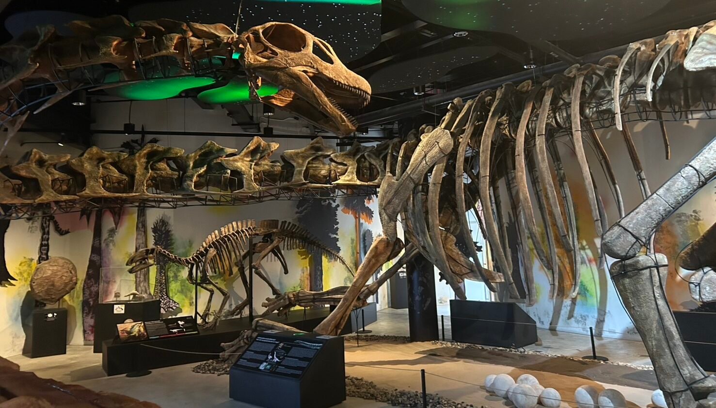 A Picture Of Nagatitan Chaiyaphumensis Skeleton That Was Displayed At The Thainosaur Museum, Asiatique The Riverfront In Bangkok, Thailand. (thainosaur Museum)