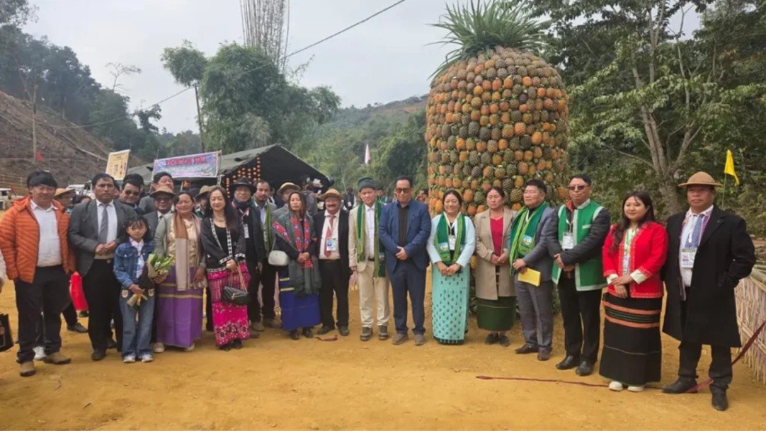 Bagra Pineapple Festival